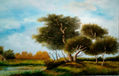 ARBOL CENTENARIO