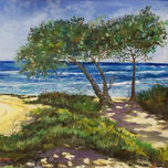 PLAYAS-MAR thumbnail 1