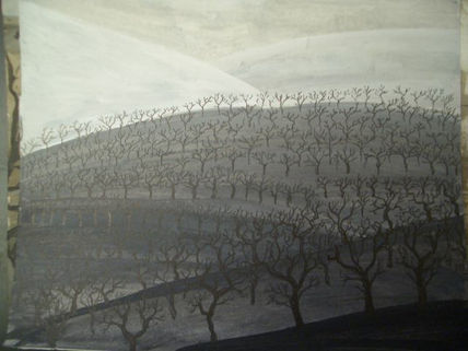 Bosque quemado en...