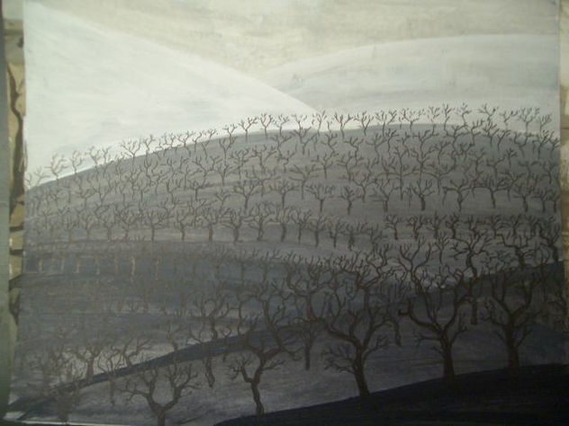 BOSQUE QUEMADO EN INVIERNO