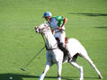 EL MEJOR POLO DEL MUNDO 2011 - 2