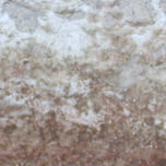 EncontrARTE thumbnail 1
