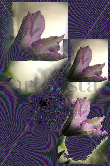 Formnature14