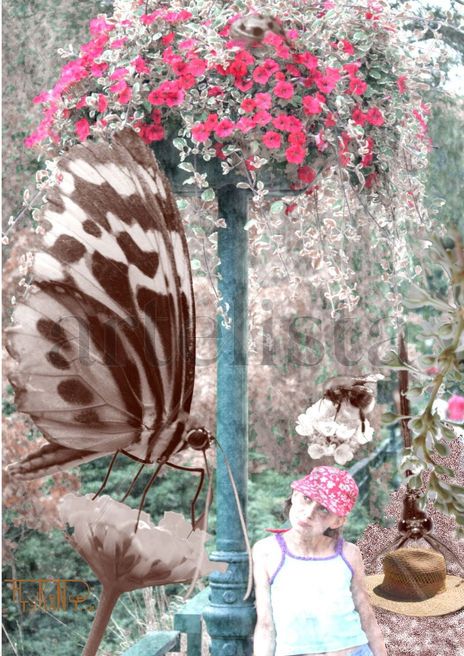 Insectopia