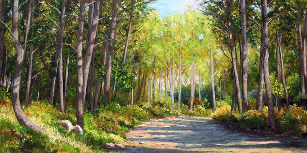 A Través de los pinos / Through the pines. Oil Canvas Landscaping