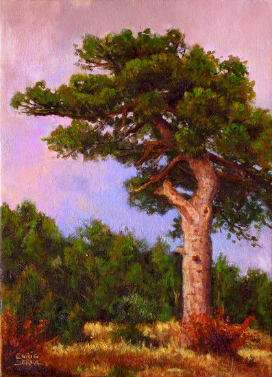 El pino / The pine tree. Óleo Lienzo Paisaje