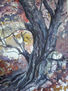 arboles
