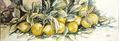 limones