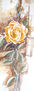 rosas