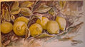 limones