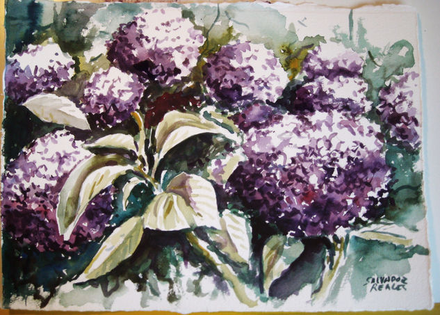 hortensias 