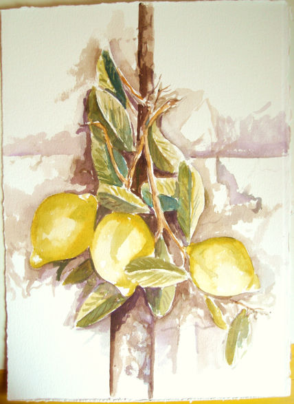 Frutos limones