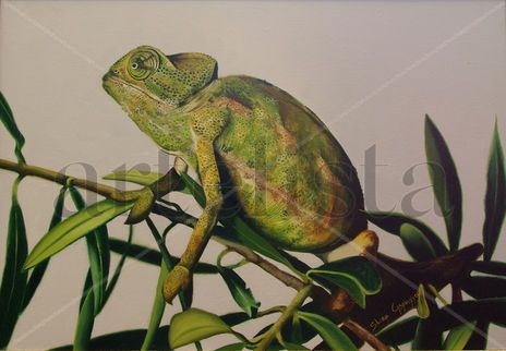 Camaleon fondo claro
