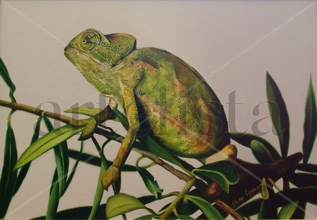 Camaleon fondo claro Oil Panel Animals