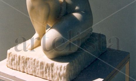 TORSOS