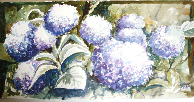 hortensias 