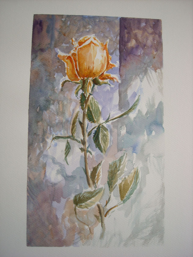 rosas naranjas