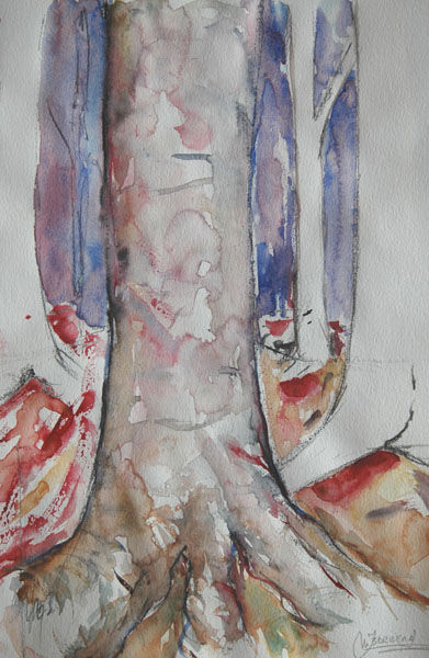 tronco de arbol