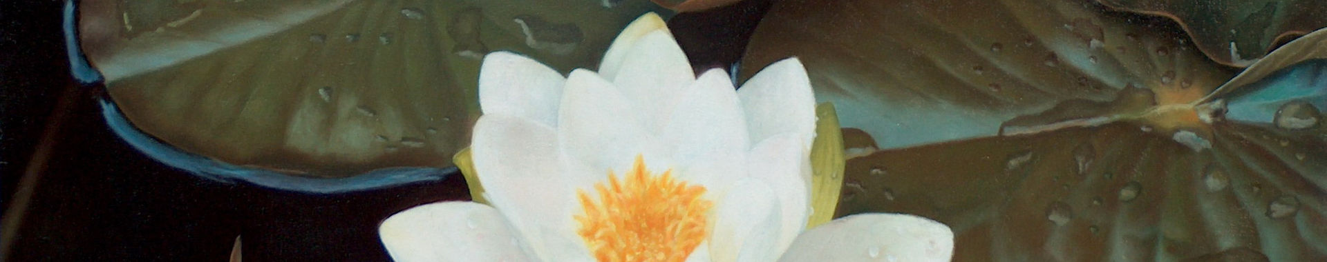 Imagen de portada