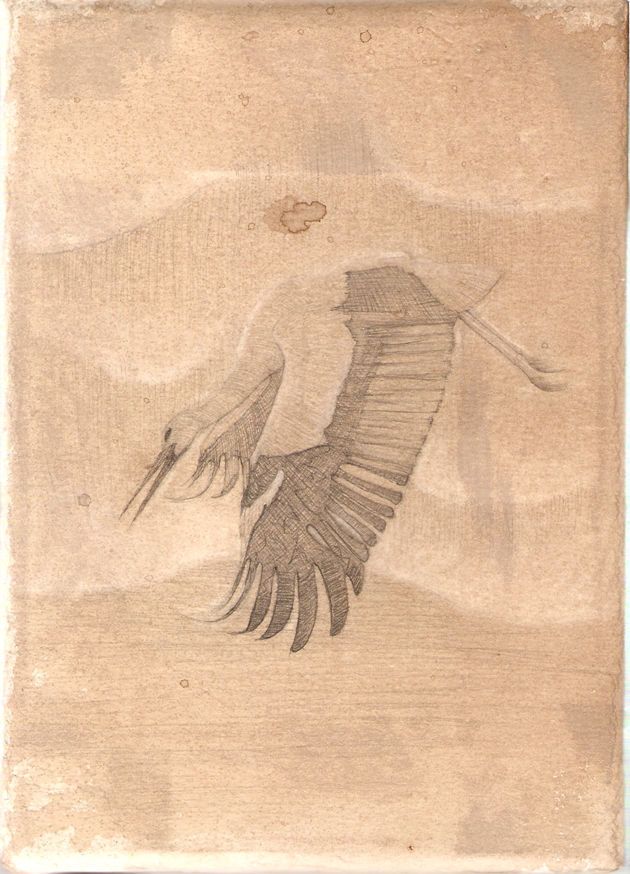 Cigüeña 1