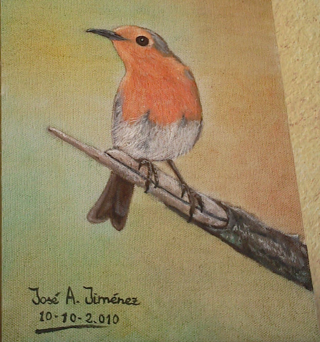 PETIRROJO