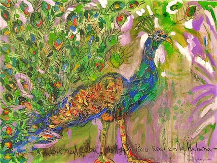 Pavo Real
