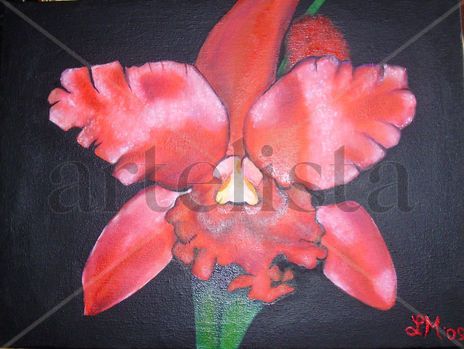 orquídeas III