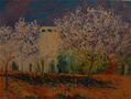 almendros tarragona