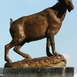 Fauna  iberica thumbnail 1