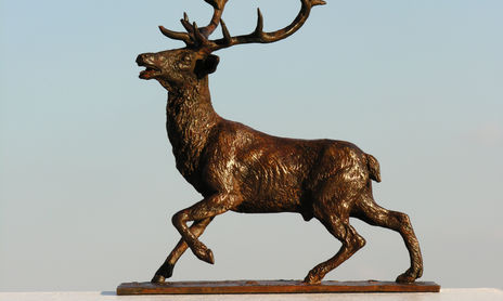 Fauna  iberica