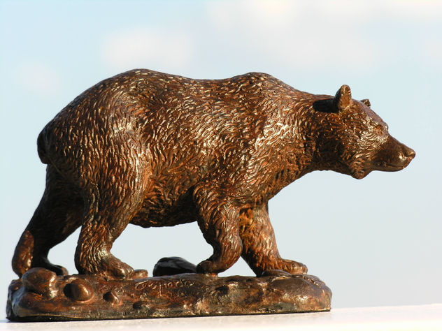 oso iberico