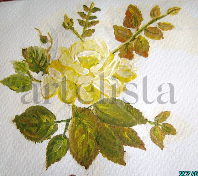 Amarilla