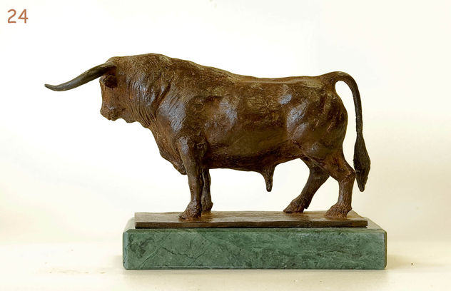 toro parado