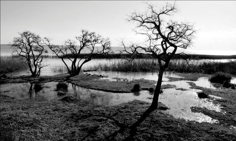 Paisaje
