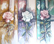 ROSAS