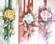 ROSAS