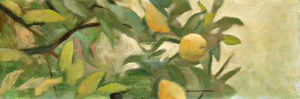 Limonero horizontal