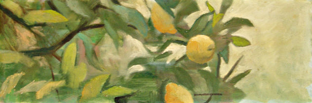 Limonero horizontal
