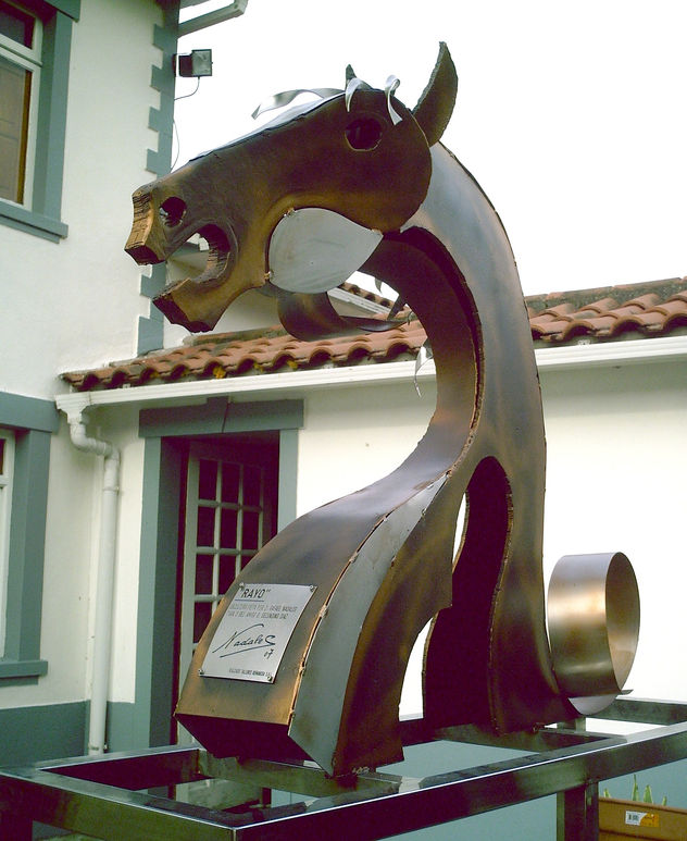 rayo