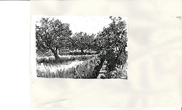 Paisaje rural. Graphite