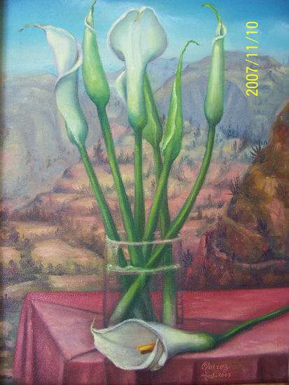 Cartuchos Oil Canvas Still Life Paintings