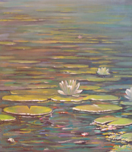 Nenúfares blancos.