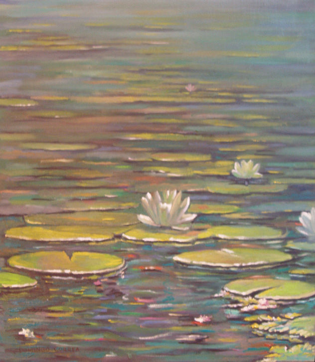 Nenúfares blancos.