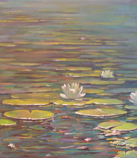 Nenúfares blancos. Oil Canvas Landscaping