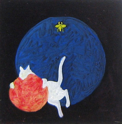 Cielo felino