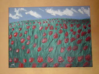 Amapolas de Barberà del Vallés.