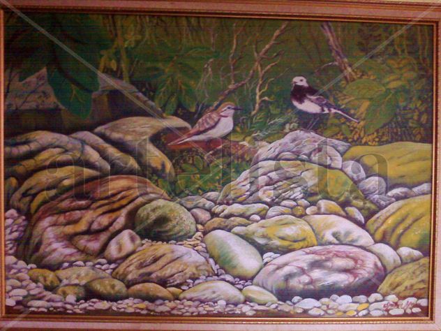 aves