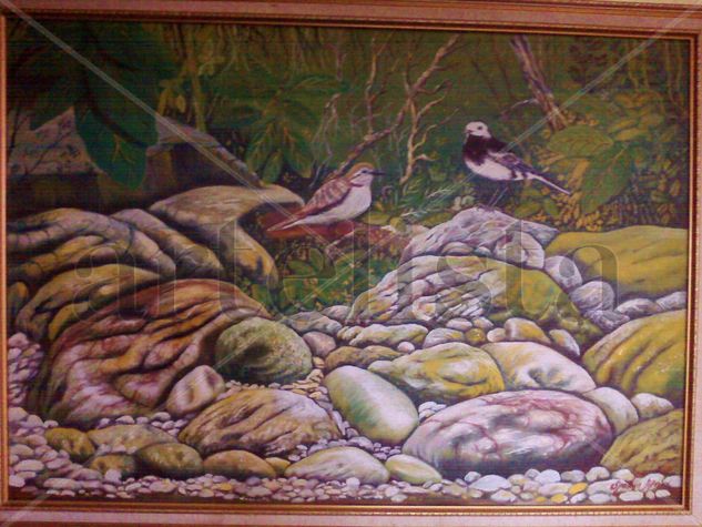 aves Oil Canvas Landscaping