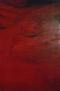 Rojo Vivo