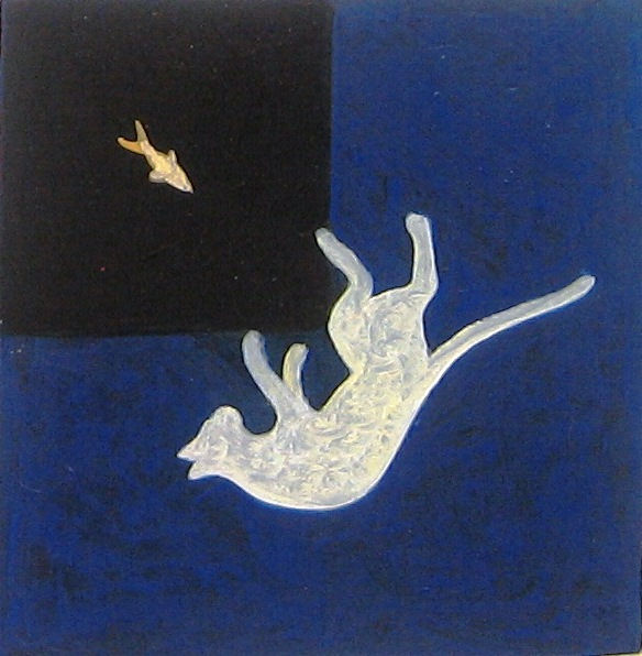 cielo felino